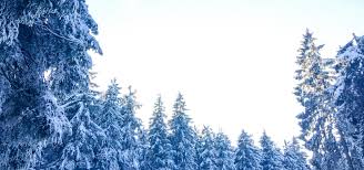 The winter solstice, also known as the first day of winter in the northern hemisphere, marks the shortest day and longest night of the calendar year. Winter Solstice The Perfect Time For Reflection And Release Independent