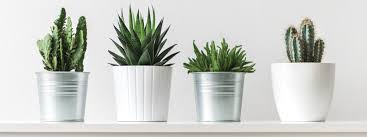 Our plant pots & nursery containers are affordable & great for the greenhouse, patio or the garden. What S Hot In Plant Pots Garden Center Magazine