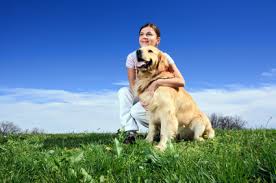 Reflexology For Pets Wellbeing Com Au