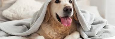 Do a little research, maybe ask a. Energy Smart Home Improvement Carlisle Pa Reduce Your Energy Costs