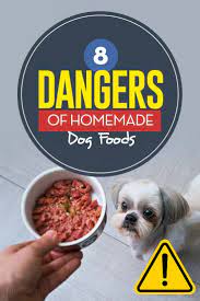 8 potential dangers of homemade dog foods dog food recipes healthy dog food recipes raw dog food recipes
