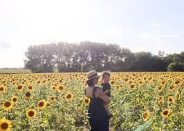 Sunflower new mexico 1935 #georgiaokeeffe #morning. Let S Explore Sunflowers At Matthiessen State Park And Other Sunflower Fields Near Chicago Second City Mom
