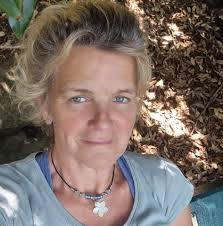 GO DOG'S // Dog Walking And Sitting Services in Torbay