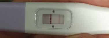 Fact Check: No, Pregnancy Tests Do Not Have Morning-After Pills Inside