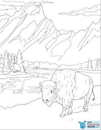 Well, that's not wrong but there's also realistic narwhal printable which is more suited for adults. Free Coloring Pages Arctic Shaggy Bull Coloring Pages Name Organize