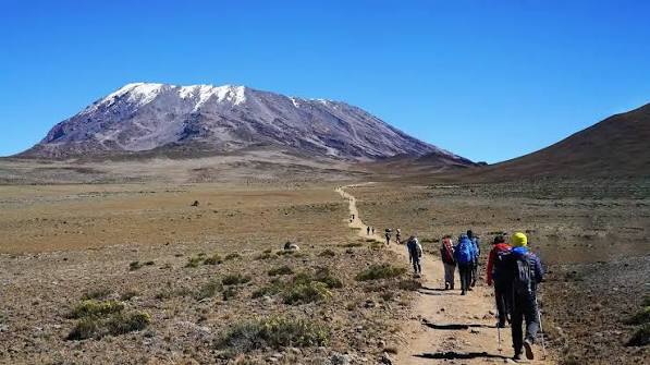 Lemosho Route Kilimanjaro
