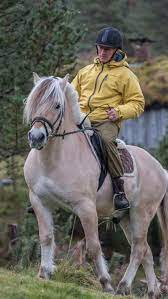The fjord horse international is a worldwide forum of member countries that provide and exchange information about the welfare and breeding of the fjord horse. Get To Know The Norwegian Fjord Horse Norwegian National Horse