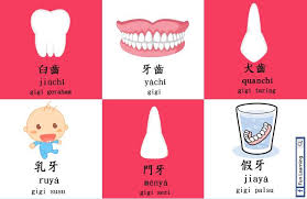 Demikian info yang dapat admin kumpulkan terkait alat alat dokter gigi dalam bahasa inggris. Fun Learning Hi Fun Learners Setelah Beberapa Hari Facebook