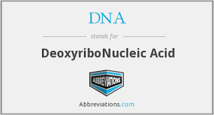 What Does Dna Stand For