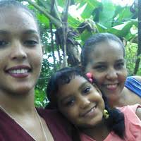 PDF) Apuntes de lexicografía decimonónica: léxico árabe