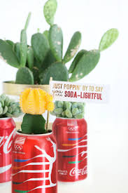 The cactus juice you can purchase in health food stores is safe to drink for medicinal purposes. Diy Coca Cola Succulent Gift Idea