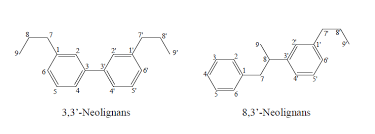 Image result for Gnidia burchellii