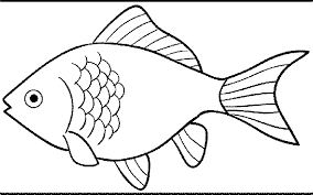 Orang dewasa juga tidak mau ketinggalan dengan serta mendownload poster kartun buat dijadikan. 24 Gambar Ikan Hitam Putih Cari Gambar Keren Hd