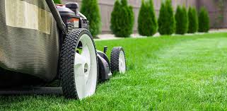Follow these spring lawn care tips to aerate, fertilize, seed, mow and water your yard to keep your grass green and healthy. Spring Lawn Care Tips Reddi Lawn Maintenance