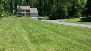 It's no wonder we're the stafford area's first choice for lawn care. Affordable Lawn Care Service Fredericksburg Va Mowing Trimming Edging Spotsylvania Stafford Virginia Affordable Lawn And Landscaping