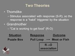 We did not find results for: Instrumental Operant Conditioning Thorndike S Puzzle Box Ppt Download