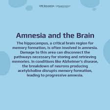 Image result for Amnesia