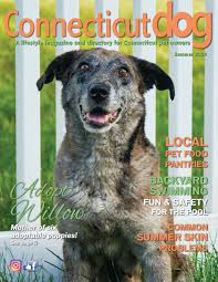 The oc adoption program aims to find a pet who will be the best match for each adopter. Connecticut Dog Magazine Summer 2020 By Connecticut Dog Magazine Issuu