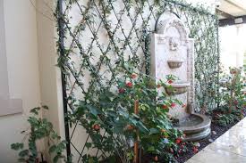 Wall stickers fashion beautiful diy removable vinyl flowers vine mural decal art. 28 Luscious Backyard Vine Ideas Home Stratosphere