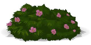 Isolation is on a transparent layer. Flowers Purple Violet Plants Png Picpng