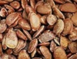 Image result for Diospyros kirkii