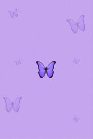Black And Purple Butterfly Wallpaper Aesthetic Purple Butterfly In 2020 Butterfly Wallpaper Iphone Edgy Wallpaper Purple Wallpaper Iphone