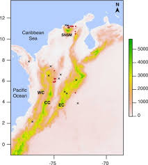 Image result for Inversodicraea