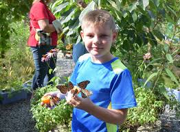 We did not find results for: Butterfly House Is Back At Smith Gilbert Gardens City Of Kennesaw