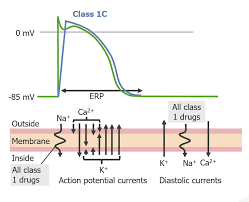 Image result for Antiarrhythmic