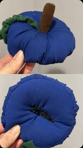 Dahlia has been found!! She is back safe and sound! Thank you kind  neighbors!! So blessed to live in this super caring village that supports  and loves one another 🩷🐈🏡🏠🏡