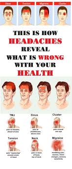Pin On Health