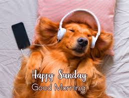 Good morning, do you have on your Sunday Smiles?! ߘڢݤ We ...