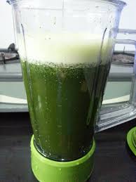 Cara membuat cincau hijau pun sangat sederhana. Jenis Jenis Daun Cincau Cara Buat Cincau Secara Homemade