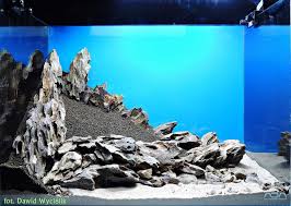 Aquarium Hardscape Akuarium Hewan