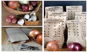 14 Astuces Pour Conserver Les Fruits Et Legumes Frais Fruits Et Legumes Frais Conservation Legumes Fruits Et Legumes