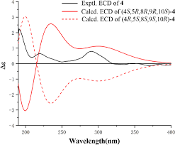 Image result for Croton steenkampianus
