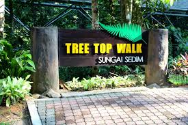The canopy walk grants visitors the unique experience of walking in the forest while overlooking the magnificent views of the surrounding. Sedim Tree Top Walk Malaysia