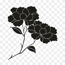 Check spelling or type a new query. Petal Black Floral Design Pattern Oakleaf Hydrangea White Leaf Monochrome Png Pngwing