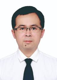 Electrolyte-gated optoelectronic transistors for neuromorphic applications