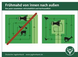 Botulismus, eine schwere form der lebensmittelvergiftung, kann vor allem für kleinkinder in welchen lebensmitteln steckt der erreger? Rinder Botulismus Beim Rind Erhohte Aufmerksamkeit Beim Futterbergen Und Silieren Rinder Tiergesundheit Ratgeber Dr Schaette