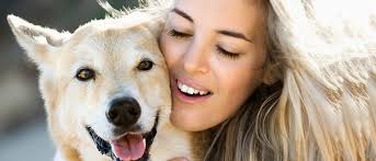 Si vous souhaitez devenir pet sitter à temps plein, voici quelques conseils à prendre en compte avant. Accueil Devenir Ou Besoin D Un Pet Sitter Ccchouette