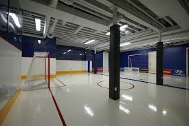 For rent basement toronto from $ 1,195, 2 bedroom apartment for rent at 92 holwood ave, toronto, on m6m 1p6 silverthorn. Hockey Room In The Basement Of A House Modern Basement Toronto By Plastruct Polyzone Canada Inc Houzz