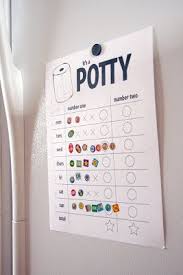 ten things to load up on before potty training potty