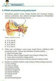 Tolong dibantu ya ini soal uji kompetensi fisika bab 1 kelas 10 brainly co id. Uji Kompetensi Bab 10 Hal 160jawab Yg Serius Ya Brainly Co Id