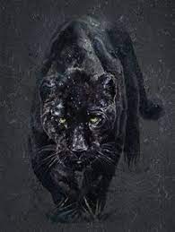 Daftar wallpaper merah hitam putih. 23 Ide Macan Hitam Binatang Buas Hitam Kucing Besar