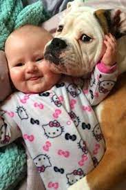 Adorable Dogs Take Care Babies Video Every Dog Breed Cute Dogs Baby Dogs
