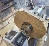 Spalted silver birch wood in Connecticut