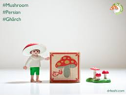 Can You Tell We Love Mushrooms Playmobil Mushroom Fairy Is Learning Persian Aka Farsi With The Help Of Our Wood Blocks Learn Persian Toadstool Persian