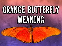 This ink is bold and vibrant, which is. Orange Butterfly Meaning Is It Lucky Or Unlucky For You About Spiritual