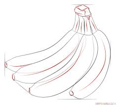 How To Draw A Bunch Of Bananas Step By Step Drawing Tutorials Drawing Tutorial Step By Step Drawing Drawing Tutorials For Kids